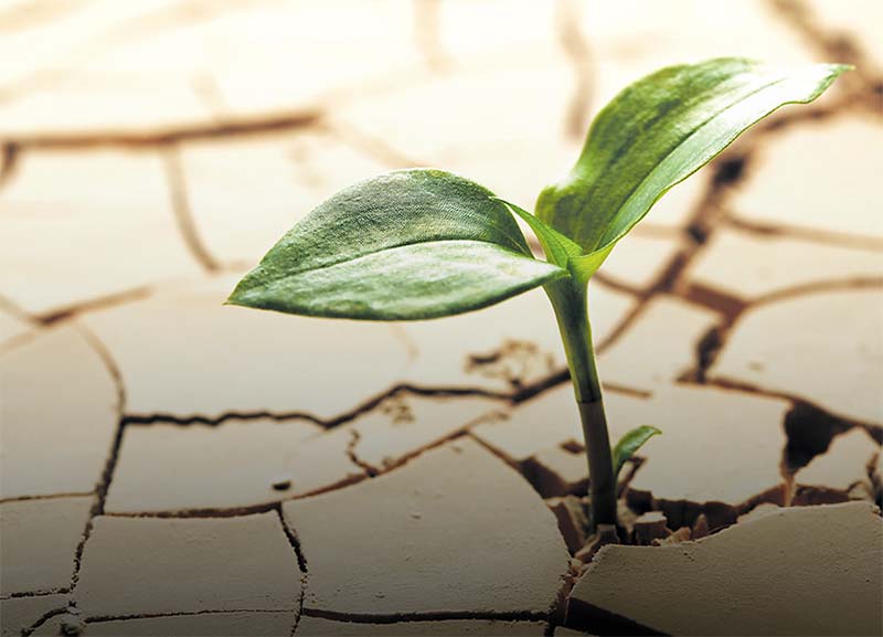PODCAST 05 Resiliency in Times of Crisis3 1